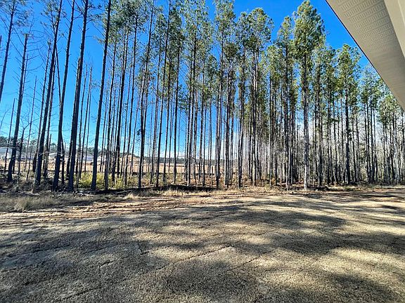 5022 Cedar Brush Court, Homesite 20 Elevation Image 4