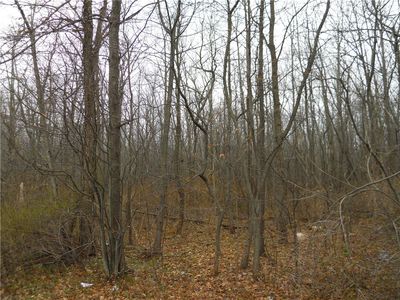 0 Schlegel Rd #83, Webster, NY, 14580