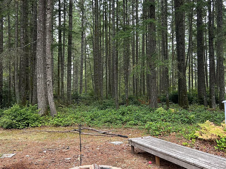 shared space: backyard with firepit