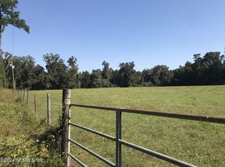 0 Tanner Rd, Florahome, FL 32140