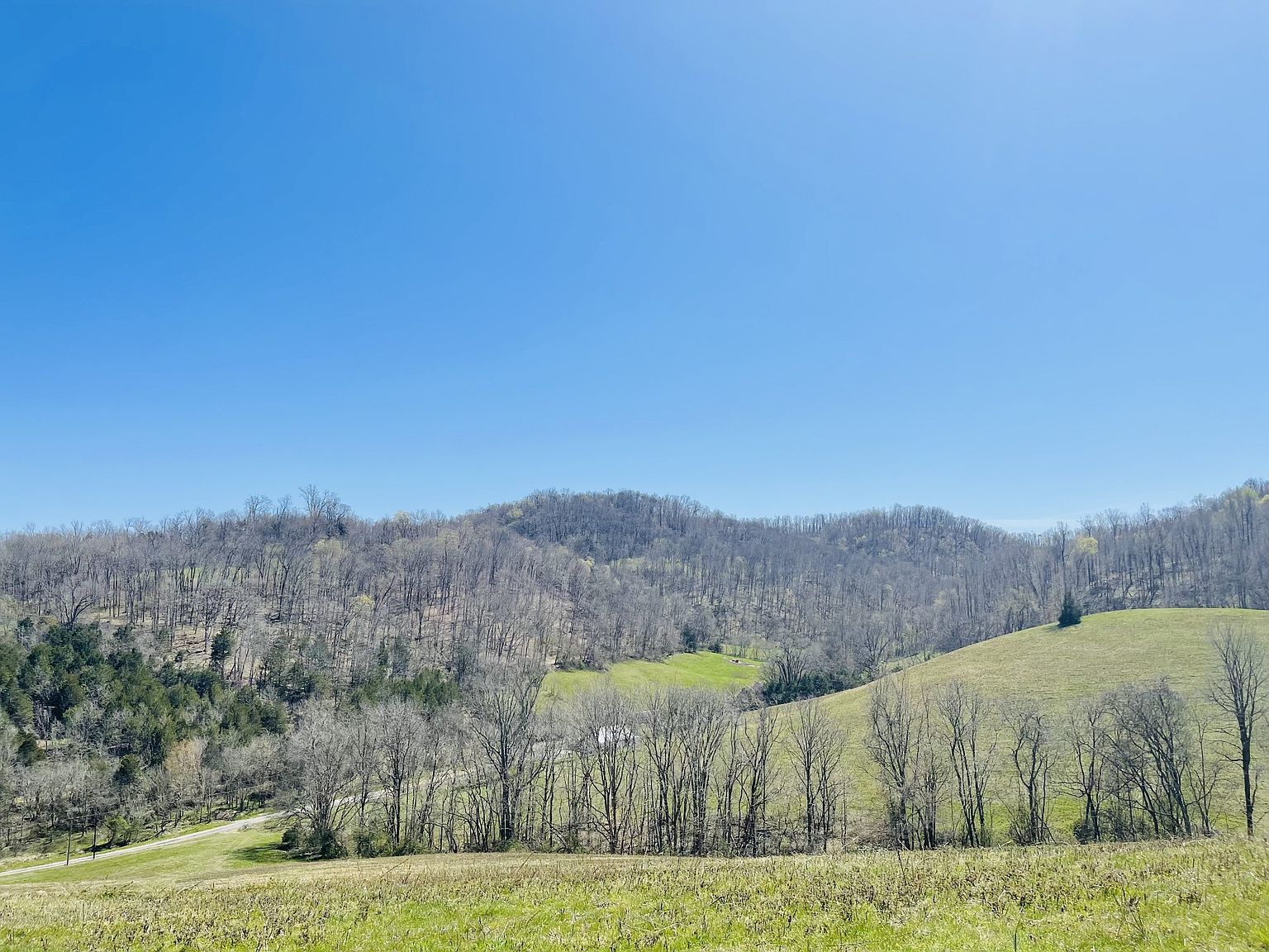 242 Whyte Tenpenny Rd, Woodbury, TN 37190 MLS 2502737 Zillow
