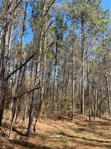60052 Louise Talley Rd, Bogalusa, LA, 70427