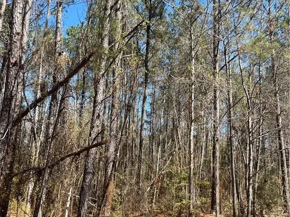60052 Louise Talley Rd, Bogalusa, LA 70427