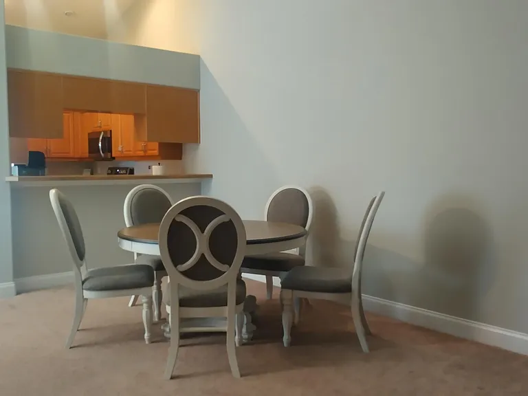 1643 Areca Palm Dr — Photo 7