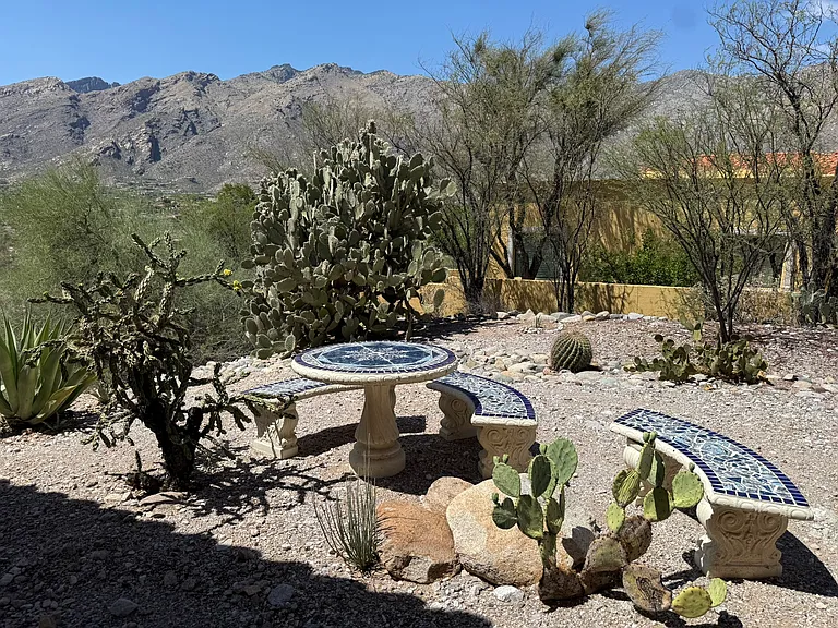 6141 N Paseo Zaldivar — Photo 49