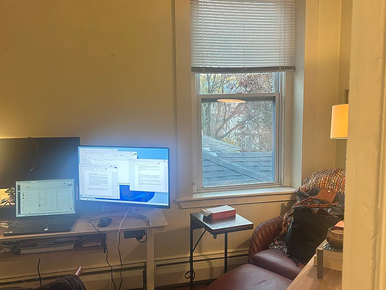 Additional room with window and closet- works great as a study or guest bedroom