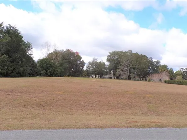 1136 Cherry Pop Dr, Hernando, FL 34442