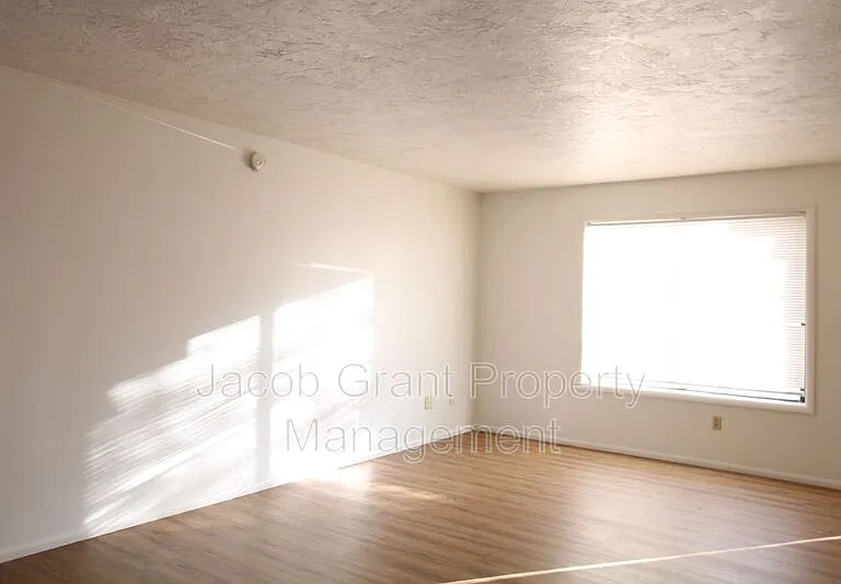 731 N Fanning Ave #733 — Photo 2