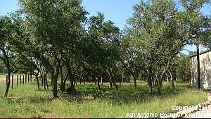 4th image of 257 County Road 2471