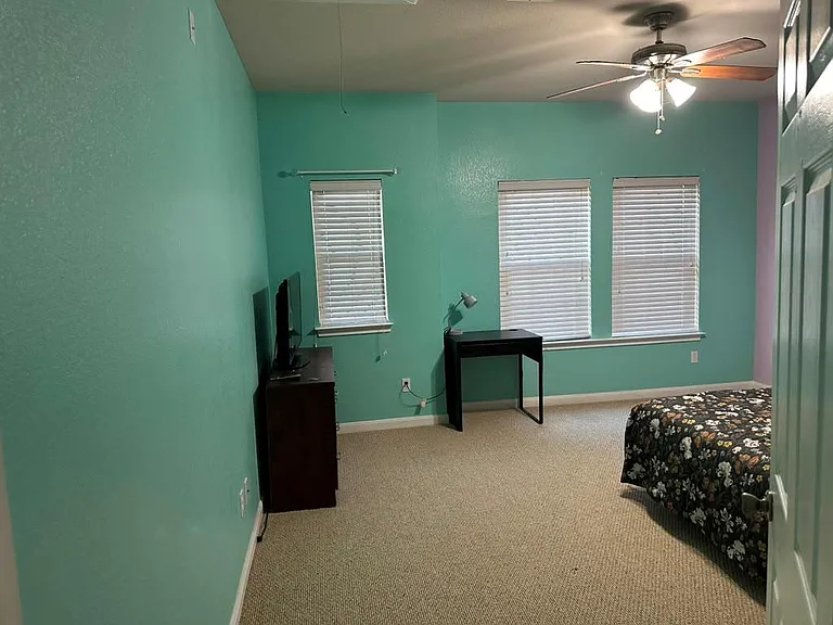 2995 Peacemaker St — Photo 22
