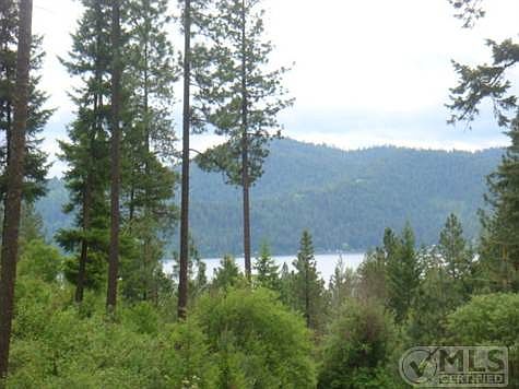 Crumps      June 1 001