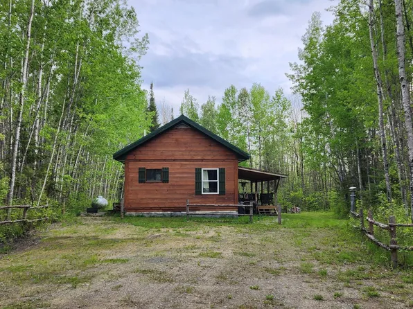 4999 Town Rd #166, Littlefork, MN 56653