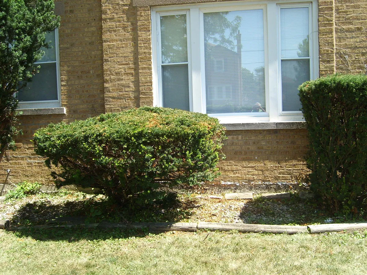 Building Photo - 3119 Ernst St