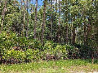 301 WHISPERING PINES Road, Georgetown, FL 32139