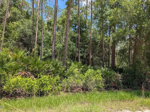 301 WHISPERING PINES Road, Georgetown, FL 32139