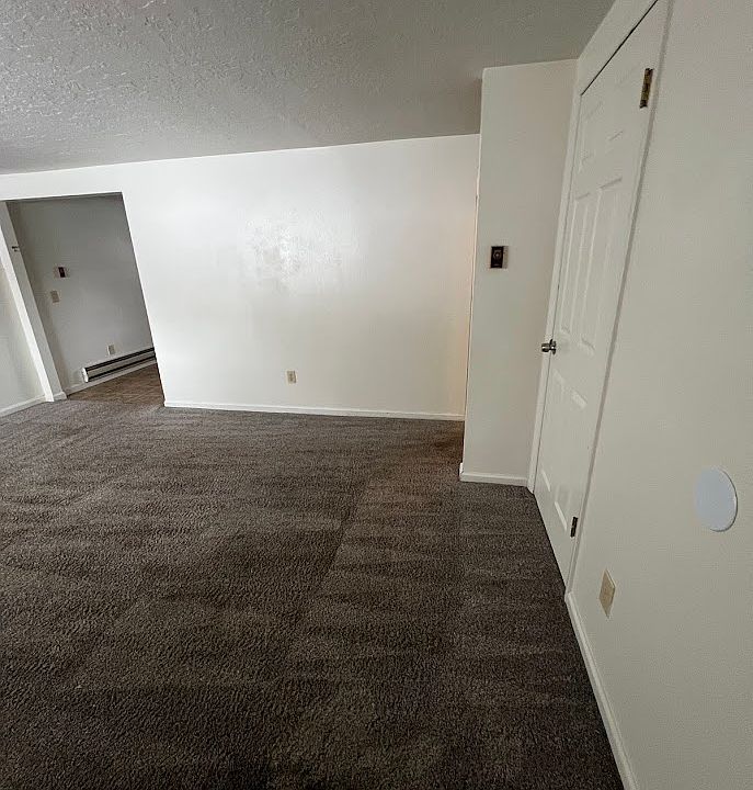 Entryway / Living Room