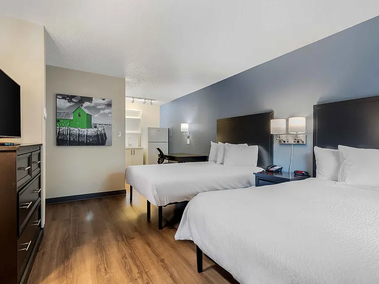 Studio Suite - 2 Full Beds