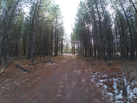 Driveway into property