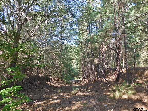 4th image of 453 County Road 2427