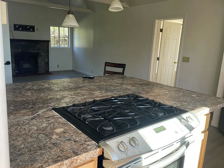 1412 Pine Heights Way — Photo 9
