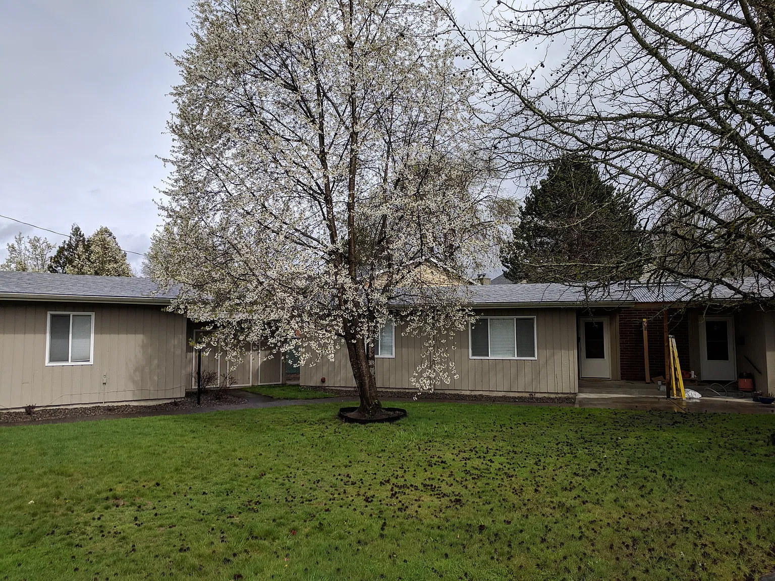 2 bed, 850 sqft, $1,600 — Photo 4
