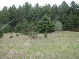 Molineaux Rd, Wolverine, MI 49799