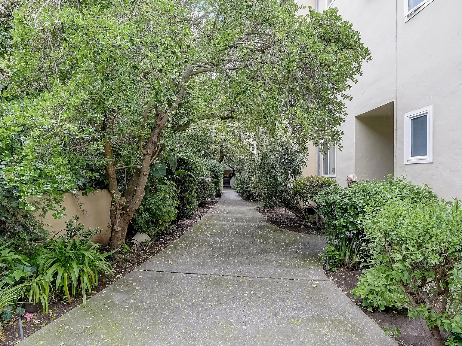 Terra Vista Apartments — Photo 3