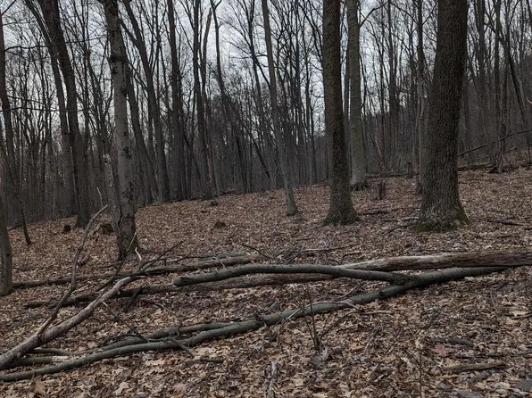 0 N Appalachian Dr, Grantville, PA 17028