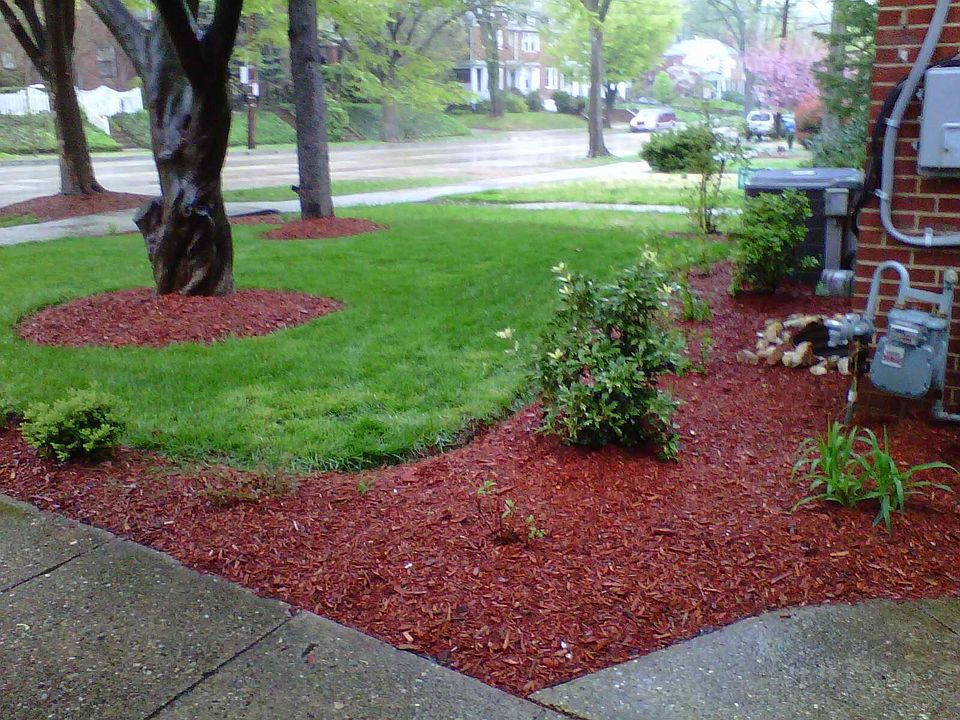Front Lawn _Nebraska Ave NW