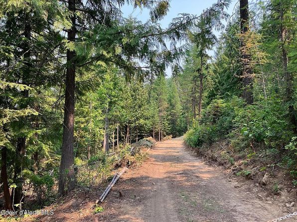 Nna Crystal Peak Rd, Fernwood, ID 83830
