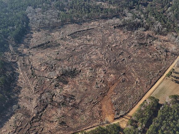 2nd image of Firetower Rd