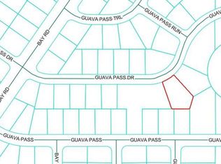 26 Guava Pass Dr LOT 26, Ocklawaha, FL 32179