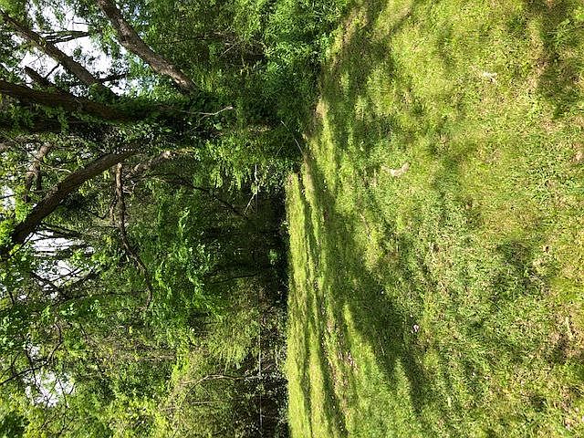 2nd image of 4434 Maryland Dr