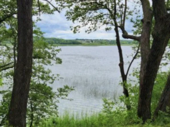 30216 Douglas Dr, Grey Eagle, MN 56336