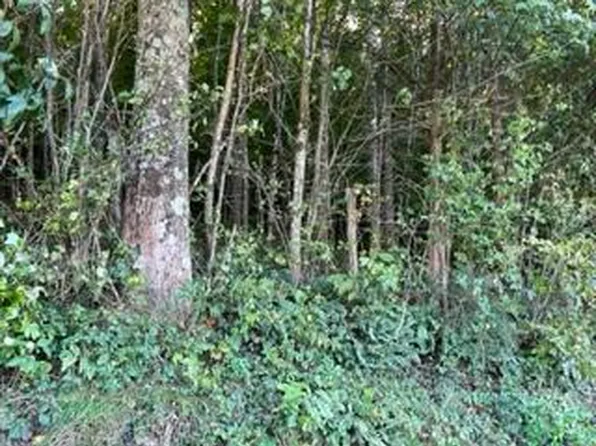 0 Northridge Rd, Abingdon, VA 24210