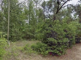 10013 N Holyoak Ter #2, Dunnellon, FL 34433