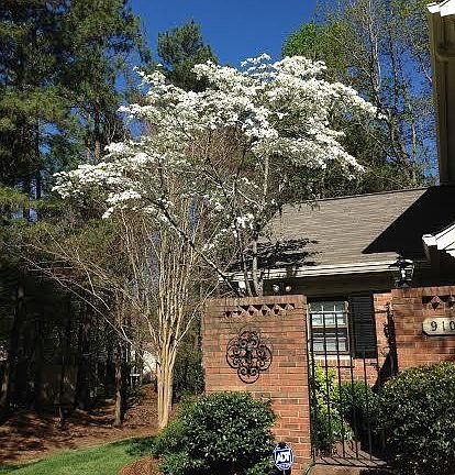 3rd image of 9104 Nolley Ct Unit I