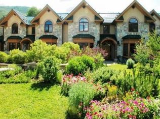 1015 E Durant Ave, Aspen, CO 81611