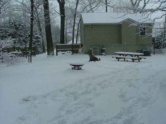 view of house from backyard