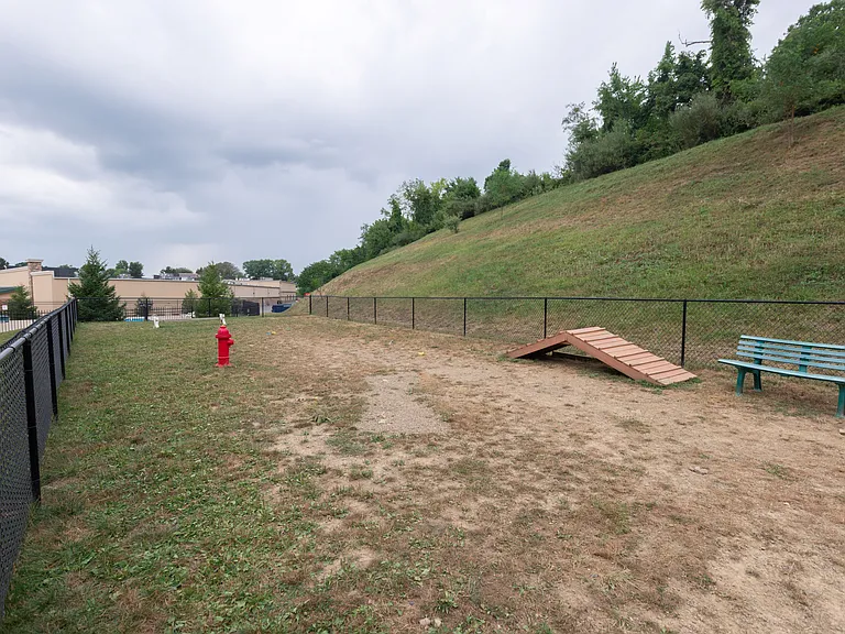 Dog Park