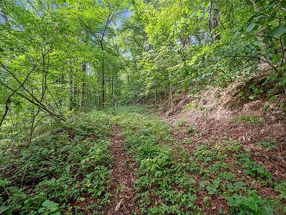 5th image of 3.11 Acres Cove Rd