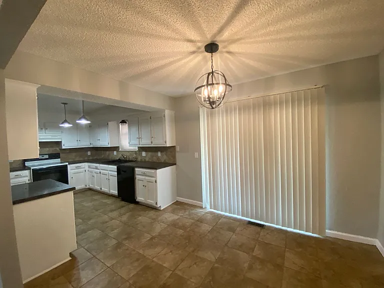 2433 Shady Tree Ln — Photo 8