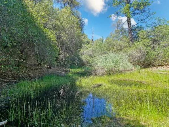 3501 Elysian Way, Placerville, CA 95667