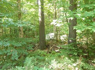 6 Catherine Rd #6, Jamaica, VT 05343