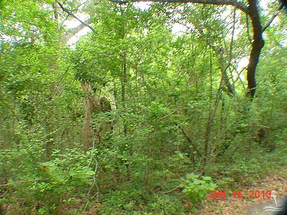 2nd image of 302 Bald Head Wynd N LOT 398
