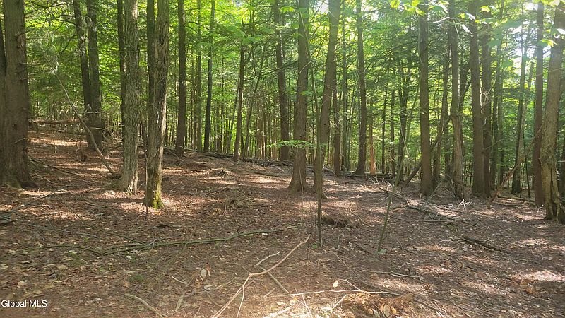 3rd image of L1.34 Mcphillips Pine Lane