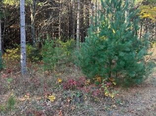 Vl C McKinley Rd, Big Rapids, MI 49307