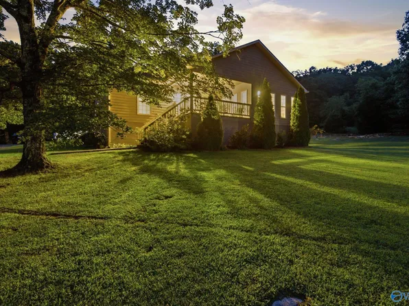 4121 Cathedral Caverns Rd, Woodville, AL 35776