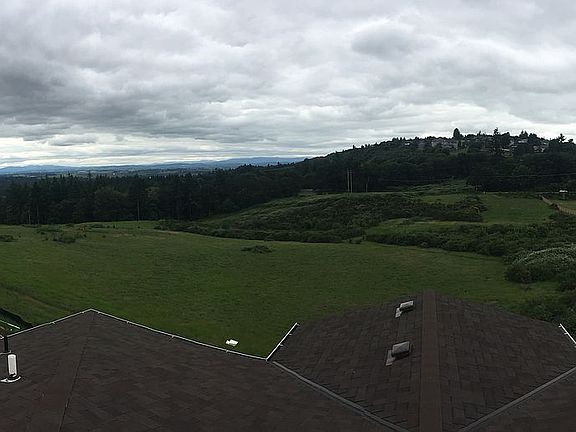 The view