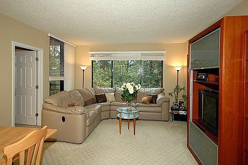 Large Living Area